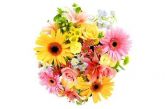 Bouque de flores